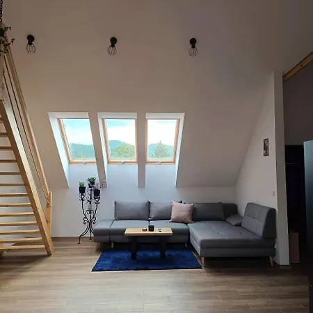 公寓 Apartament Podgorzyn